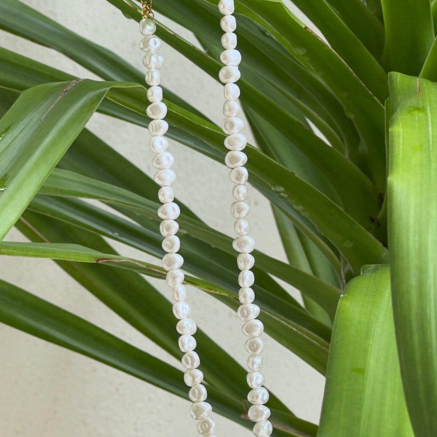 Collar Nacre