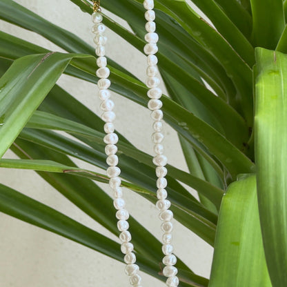 Collar Nacre