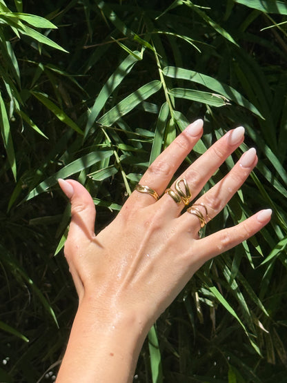 Pack anillos: Elia  Lina Ona