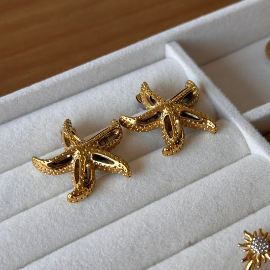 Pendientes Ania
