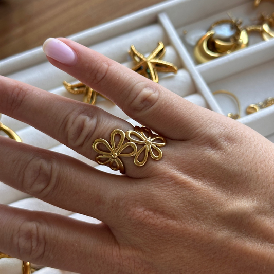 Anillo Terra