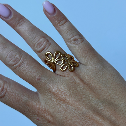 Anillo Terra