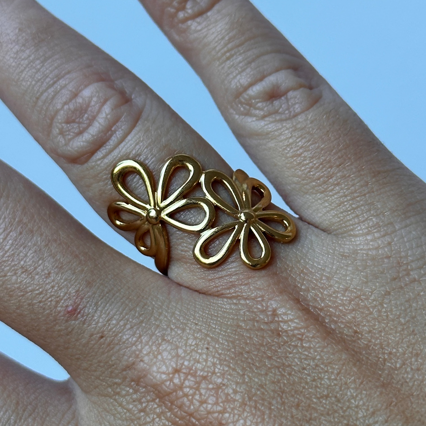 Anillo Terra