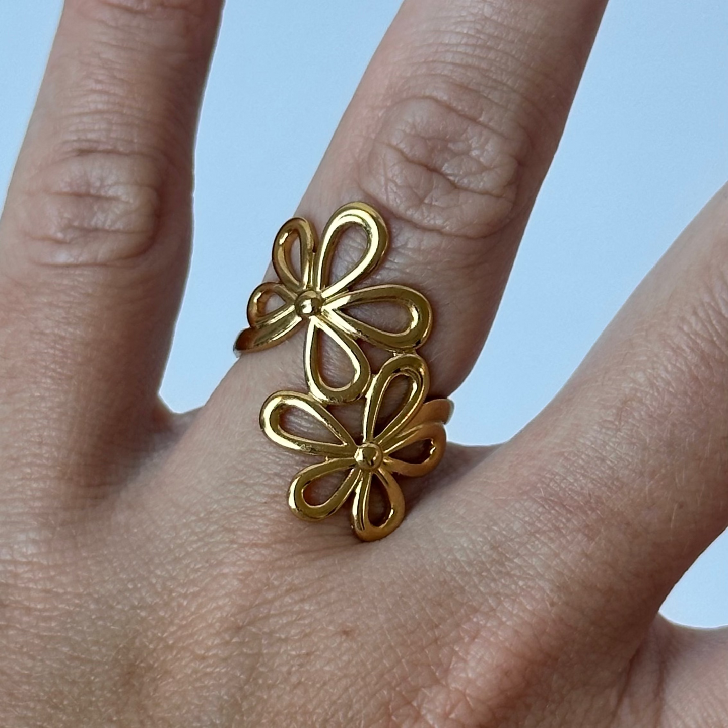 Anillo Terra