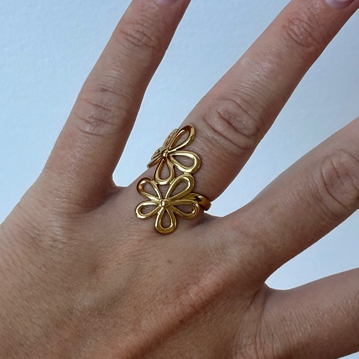 Anillo Terra