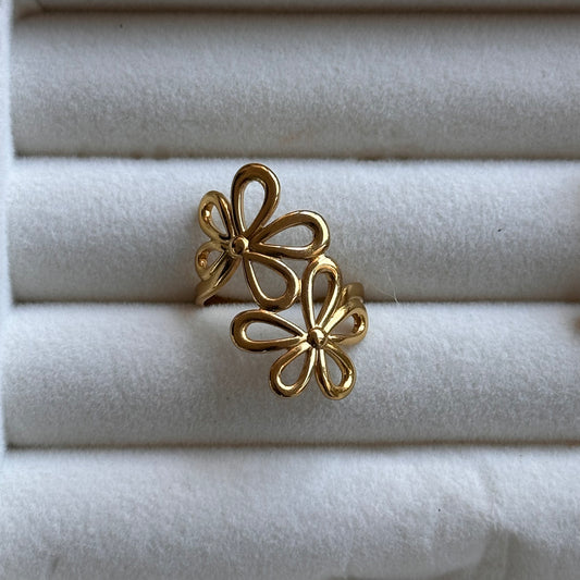 Anillo Terra
