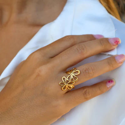 Anillo Terra