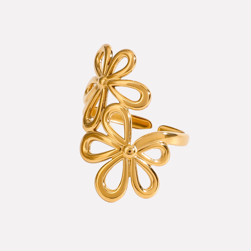 Anillo Terra
